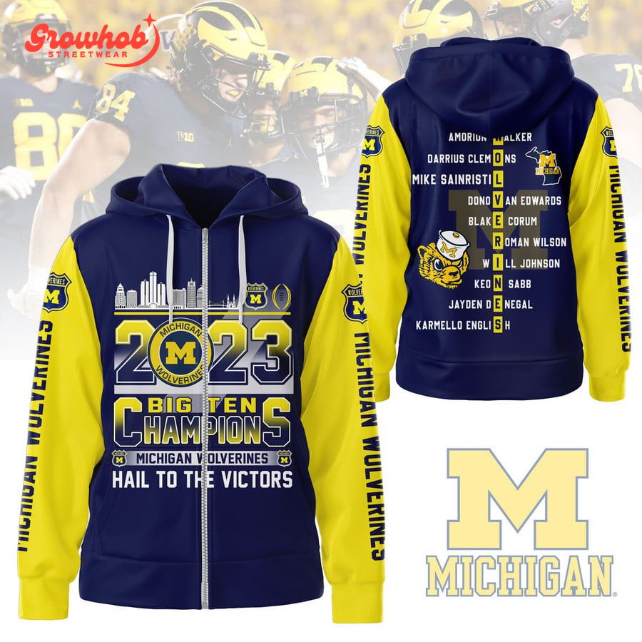 Michigan Wolverines Big Ten Champions 2023 Hail To The Victors Hoodie Shirts