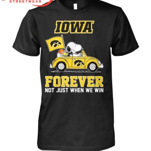 Iowa Hawkeyes Big 10 Champions 2024 Hoodie Shirts Yellow